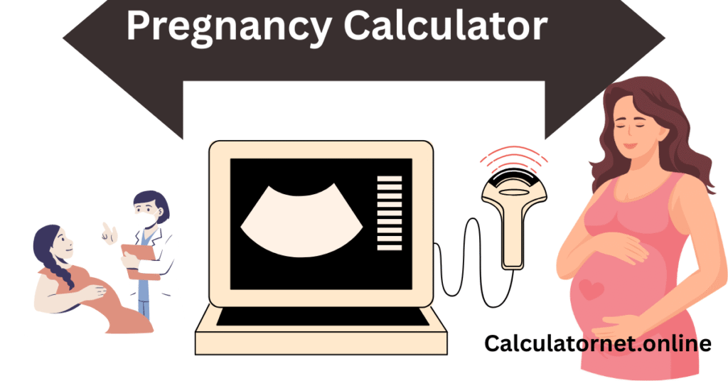 Pregnancy Calculator