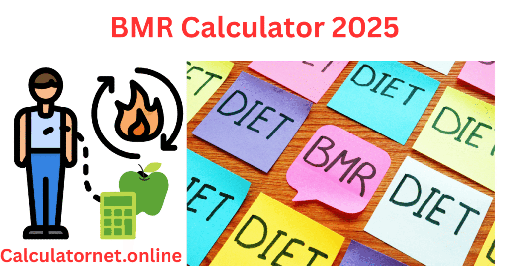 BMR Calculator 2025